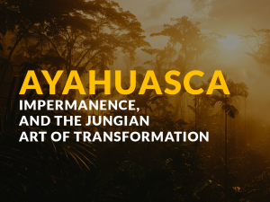 Softly lit rainforest at dawn with mist rising among ancient trees, symbolizing dissolution, death, and renewal in Jungian transformation.